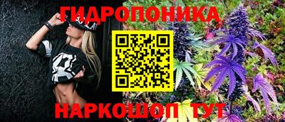 крисы Заводоуковск