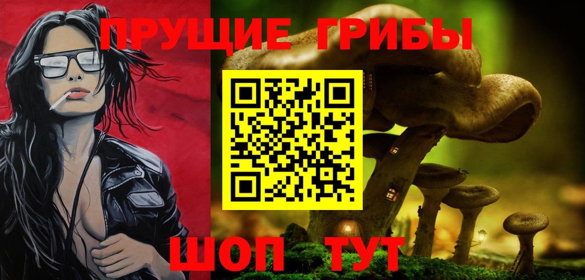 Псилоцибиновые грибы MAGIC MUSHROOMS  Вход с VPN  Зеленогорск 